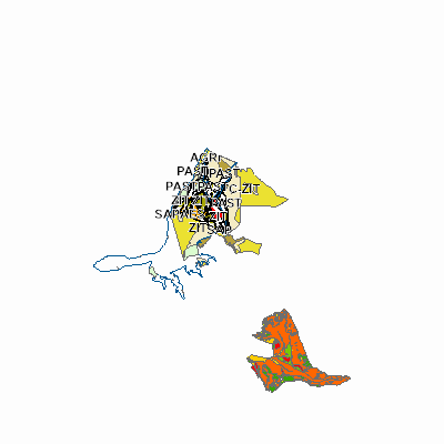 Export Image